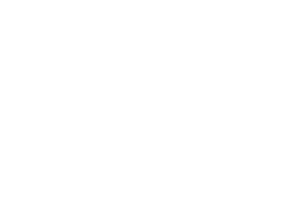 levis levis