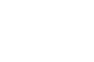 levis levis