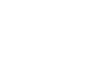 western-union western-union